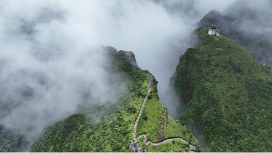 郴州宜章:“溪”游莽山 乐享清凉(新媒体)(1)780.png 郴州宜章:“溪”游莽山 乐享清凉(新媒体)(1)780.png