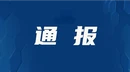 中共宜章县委办公室关于巡察整改进展情况的通报