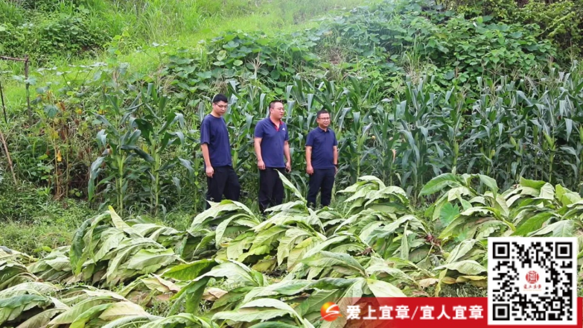 640 (1)_副本.jpg