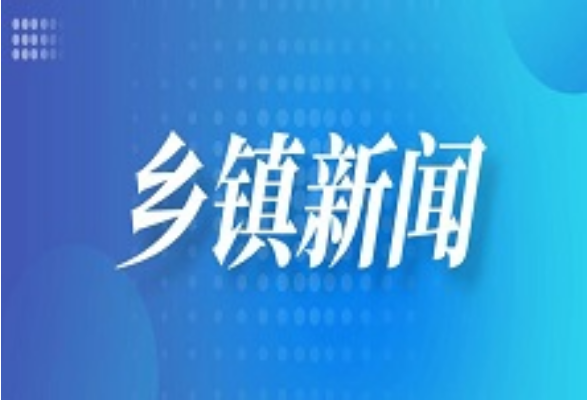 天塘镇圆满完成2026年村级财务及“三资”管理业务培训 筑牢基层财务监管防线