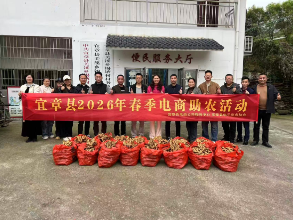 餐饮电商上门助销 宜章特色生姜变身“致富香饽饽”