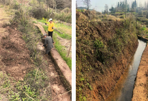 五岭镇铁坑村：抢抓农时修渠道 实干护航春耕忙
