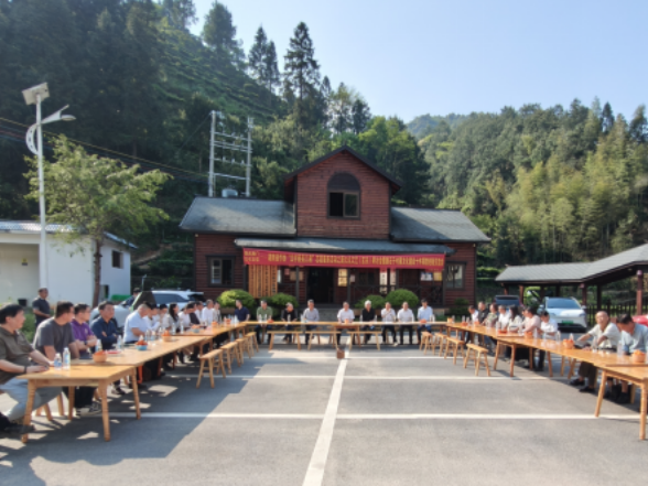 “文学照亮三湘”走进宜章跳石子 新大众文艺实践激活乡村振兴文化动能