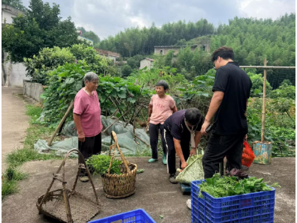 车轮转进深山 土货变“现钱”——县供销社流动服务车打通农产品出村“最后一公里”