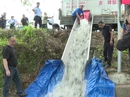 我县开展2026年珠江流域人工增殖放流活动