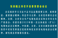 张润槐主持召开县委常委会会议