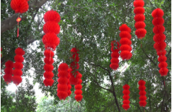 大红灯笼高高挂 祥和喜庆年味浓