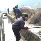【新春走基层】杨梅山镇月梅村：全村大扫除 洁净迎新年