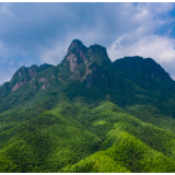 【旅发进行时】我县积极备战旅发大会 全力建设“天下莽山”