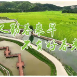【十大重点工作·产业大发展·春耕生产】让有机肥成为优质烟叶“营养餐”