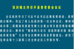 张润槐主持召开县委常委会会议 