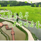 【十大重点工作·产业大发展·春耕生产】赤石乡：高标准农田建设备春耕