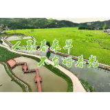 【十大重点工作·产业大发展·春耕生产】强化技术指导 培育优质壮苗