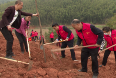 【旅发进行时】县新时代文明实践好人协会义务植树添新绿 “好人之城”助旅发