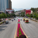 【旅发进行时】县城市管理和综合执法局：种花造景 缤纷花海扮靓城市