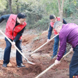 【学雷锋·我实践】张润槐、邓生华参加“学雷锋·我实践”义务植树活动