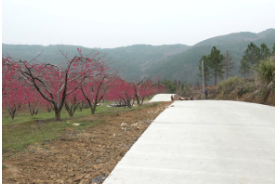 赤石乡：打通“产业路”畅通“致富路”