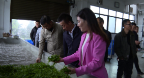 省乡村振兴局来宜调研