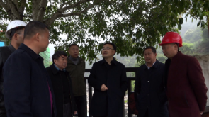 【旅发进行时】张润槐调研城乡人居环境提质工作