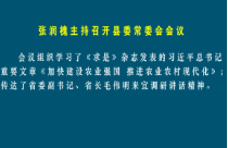 张润槐主持召开县委常委会会议