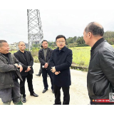 【打好高质量发展“六仗”】张润槐调研早稻生产工作 抢抓农时 不误春耕 筑稳粮食安全“压舱石”