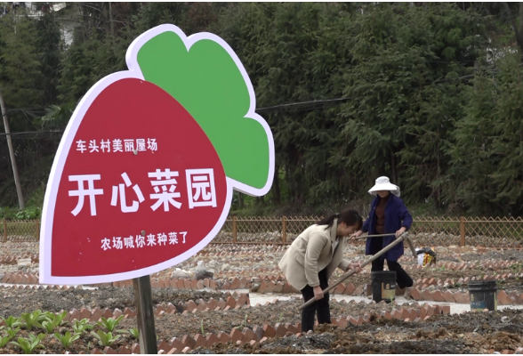 梅田镇车头村：“空心房”变身“小菜园”