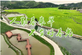 【春耕生产正当时】杨梅山镇：烟农管护忙 增收迎希望