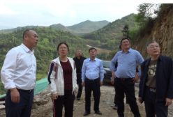 【大兴调查研究】李琼督导东江湖流域生态环境保护问题整改工作