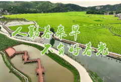【打好高质量发展“六仗”·春耕生产正当时】“田长APP”智慧管田  让每块耕地都有“监护人”