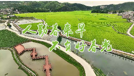 【打好高质量发展“六仗”·春耕生产正当时】笆篱镇：抢抓农时不负春