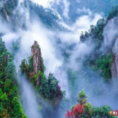 【打好高质量发展“六仗”·旅发进行时】莽山：借势旅发促升级 积极备战迎“五一”