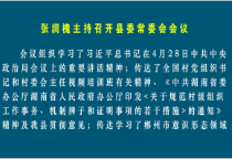 张润槐主持召开县委常委会会议