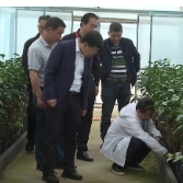【打好高质量“发展六仗”】湖南农业大学陈光辉、省农科院张德咏考察我县农业产业