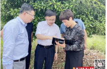 【大兴调查研究·打好高质量“发展六仗”】张润槐调研国粤郴州电厂项目选址工作