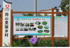 【打好高质量“发展六仗”·旅发进行时】玉溪镇寿福村：景在村中留 人在画中游