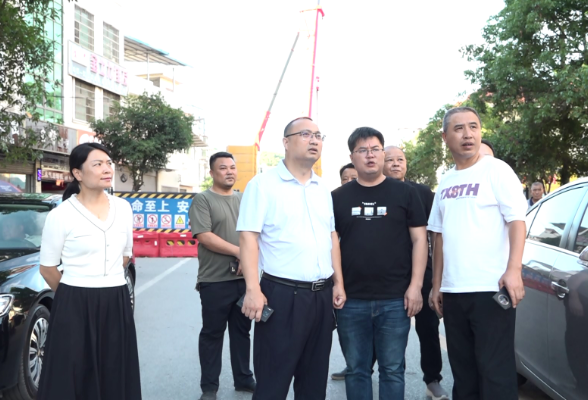 【打好高质量“发展六仗”·旅发进行时】邓生华调研文旅项目及人居环境整治工作