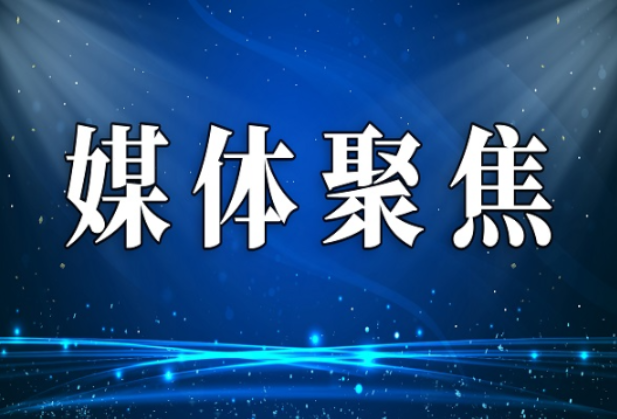 【红网时刻】宜章：黄荆花开香满山 养蜂人赶花正忙