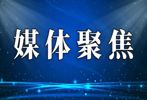 【红网】宜章莽山：苦笋扯出“甜”滋味