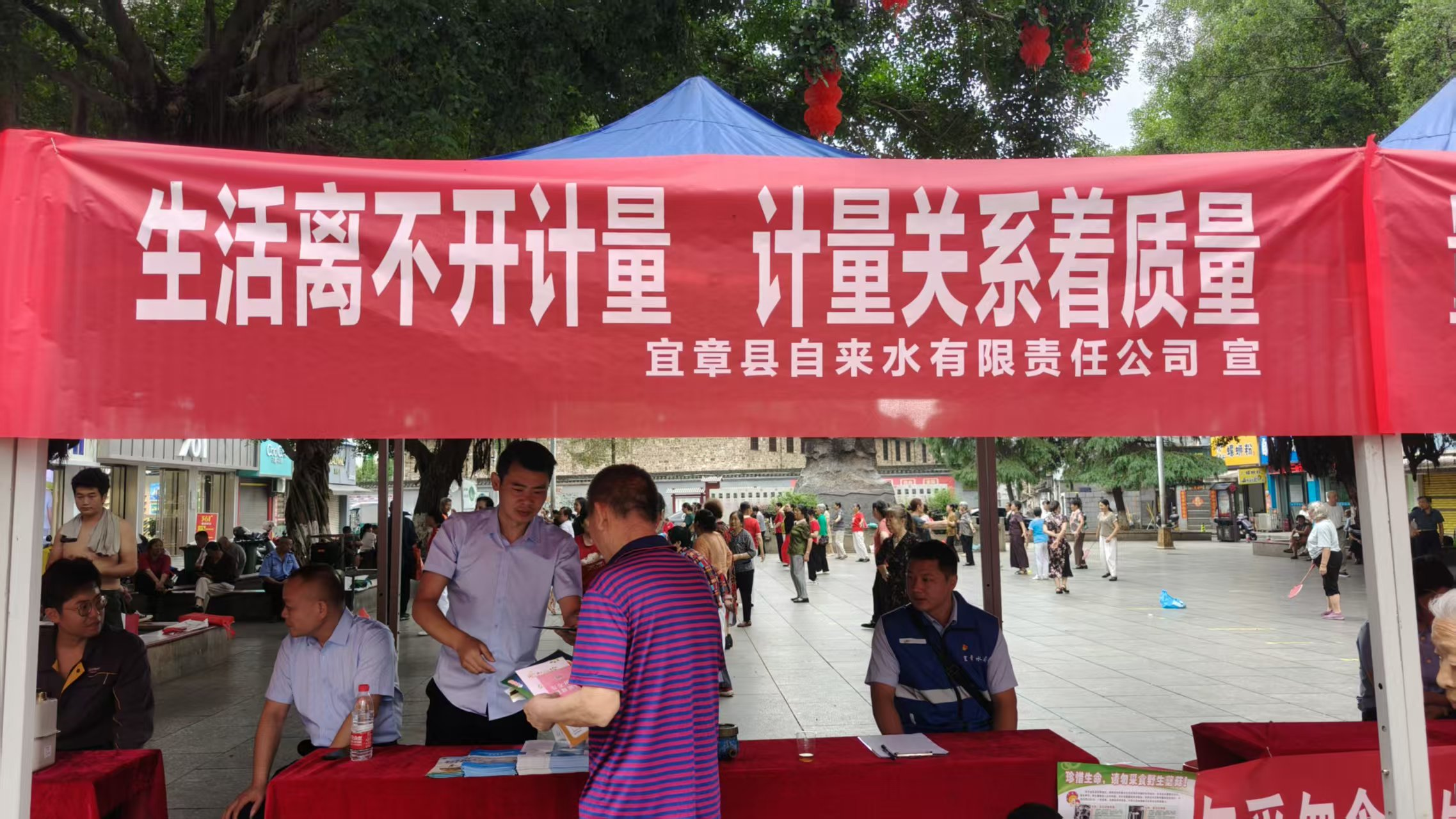 图片12.png