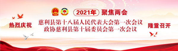 2021年人大政协两会.jpg