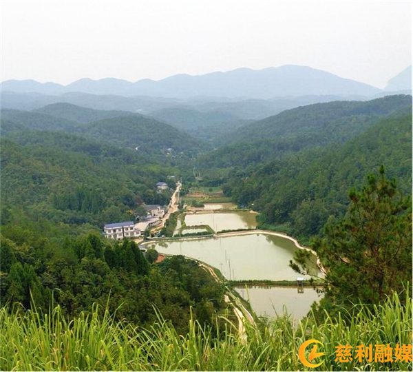 图片8.jpg