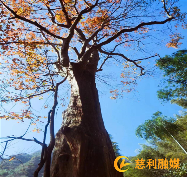 图片4_副本.jpg