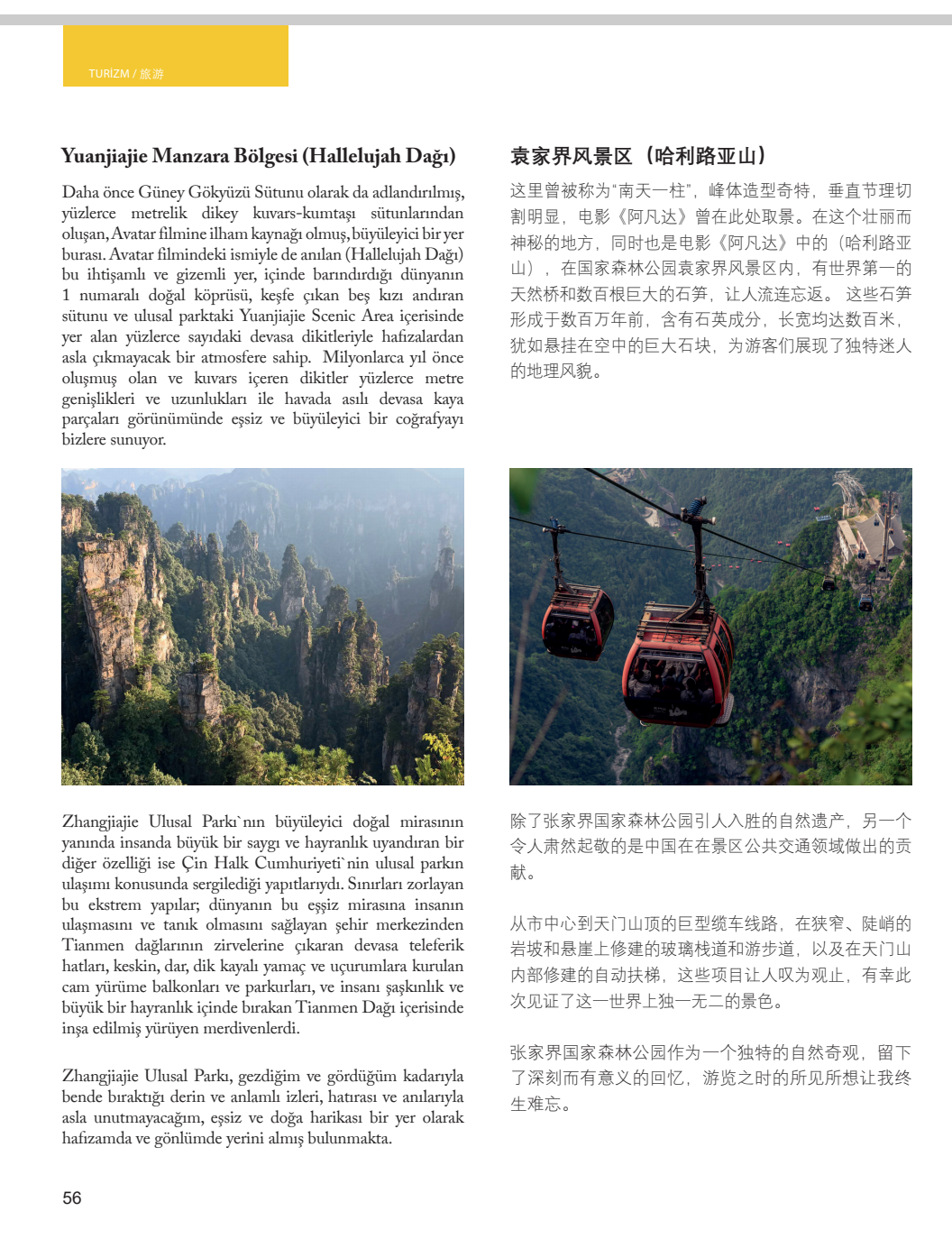 WPS图片(1).png