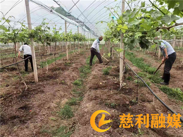 图片1_副本3.png