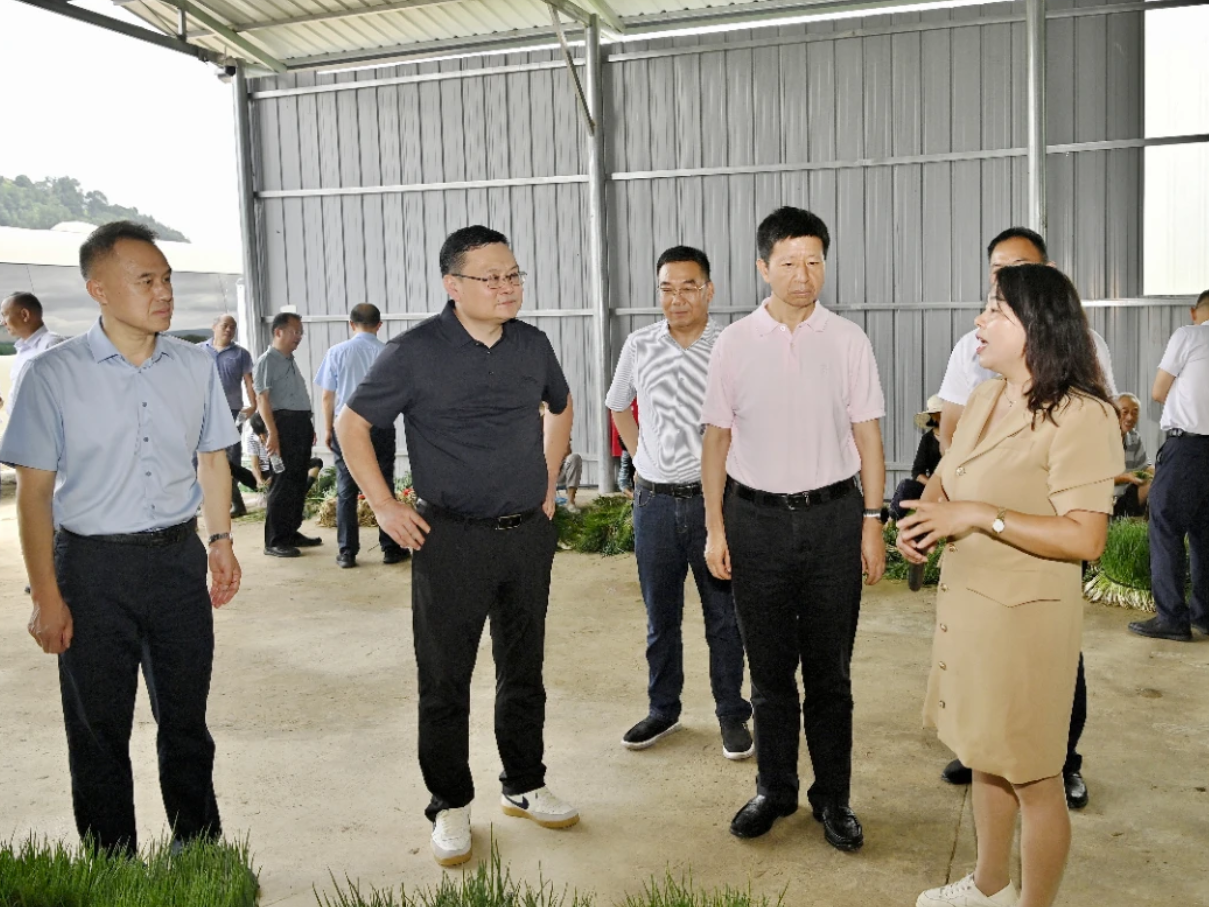 王洪斌赴慈利县调研巩固拓展脱贫攻坚成果同乡村振兴有效衔接等工作