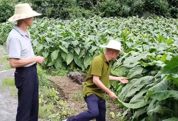 慈利县溪口镇：扎根乡土践初心 情系百姓显担当——王文祥驻村三年书写乡村振兴答卷