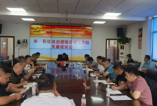 岩泊渡镇：党建引领聚合力，共绘乡村振兴新画卷