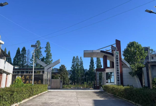 甜蜜事业助力乡村振兴，青春脚步丈量产业一线——华中农业大学动科动医学院暑期实践团队探访张家界五雷蜂蜜有限公司