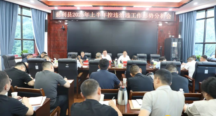 慈利县2025年上半年控违治违工作形势分析会召开