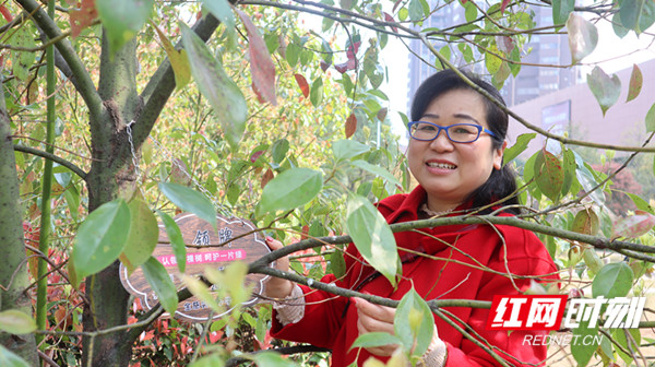 微信图片_20210312151022_副本.jpg 微信图片_20210312151022_副本.jpg